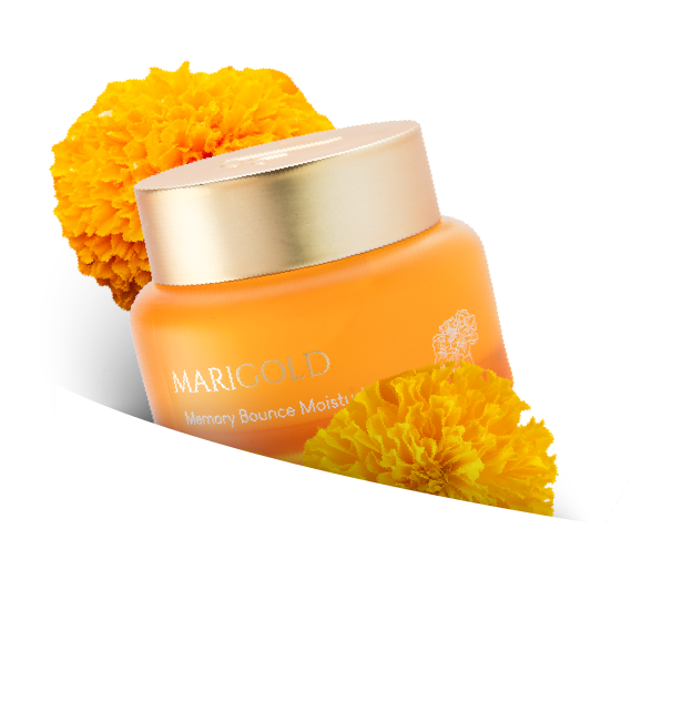 MARIGOLD MEMORY BOUNCE MOISTURIZER